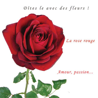 lamour rien de mieu